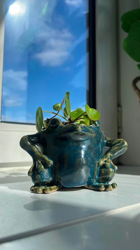 Blågrøn keramikfrø med en plante voksende op af hovedet i en vindueskarm.